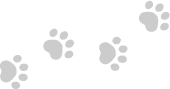 paws